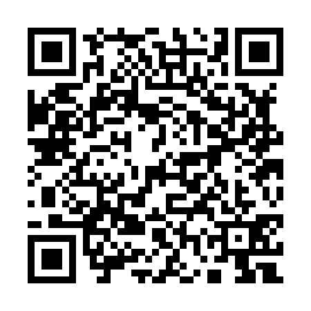 QR code for 17SH316