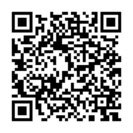 QR code for 17SMP38