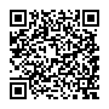 QR code for 17V493L