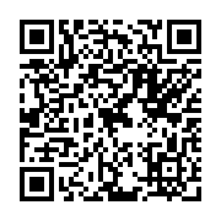 QR code for 17W209S
