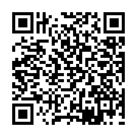 QR code for 17Y392P