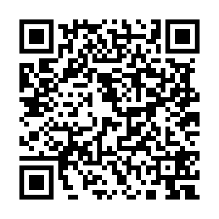 QR code for 17ZM286