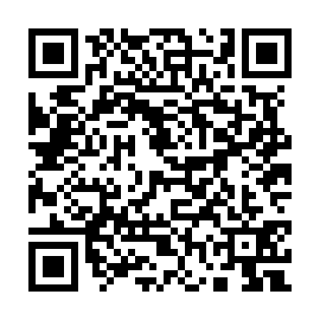QR code for 17ZN311