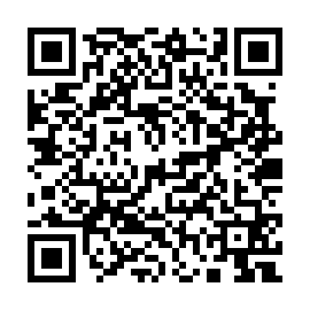 QR code for 17ZP603