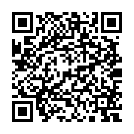 QR code for 17ZT868
