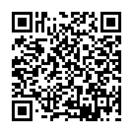 QR code for 17ZW411