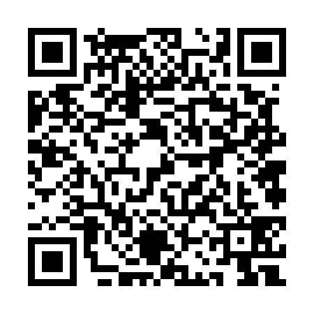 QR code for 1CV5393
