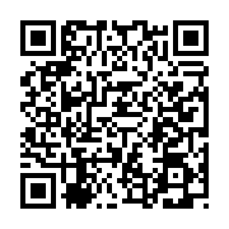 QR code for 1D40541