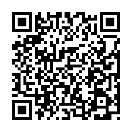 QR code for 1D53656