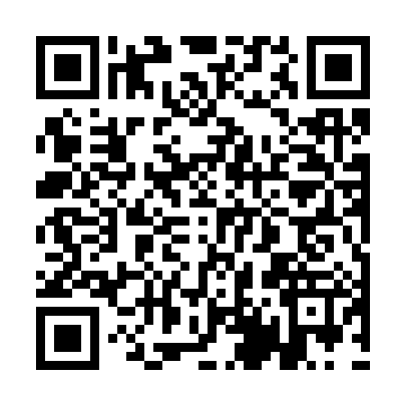 QR code for 1D53878