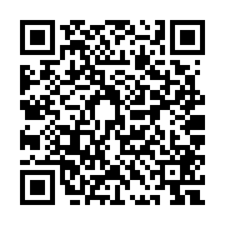 QR code for 1DFW493