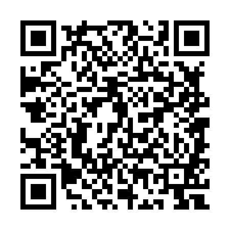 QR code for 1G4881Z