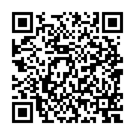 QR code for 1G8795Z