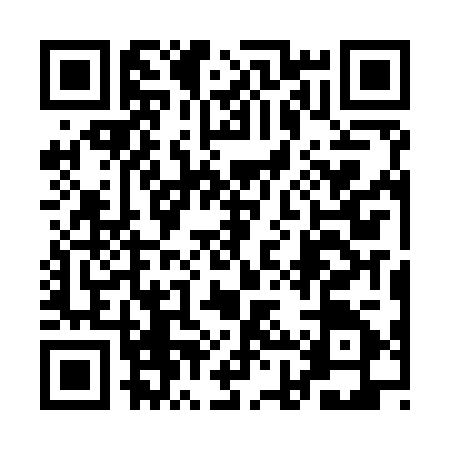 QR code for 1HSK250