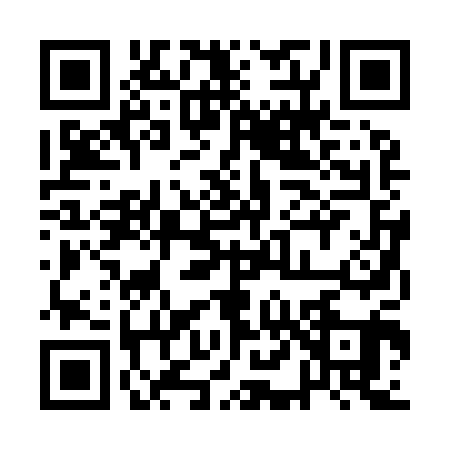 QR code for 1L29017