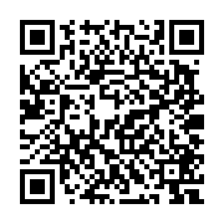 QR code for 1LDT497