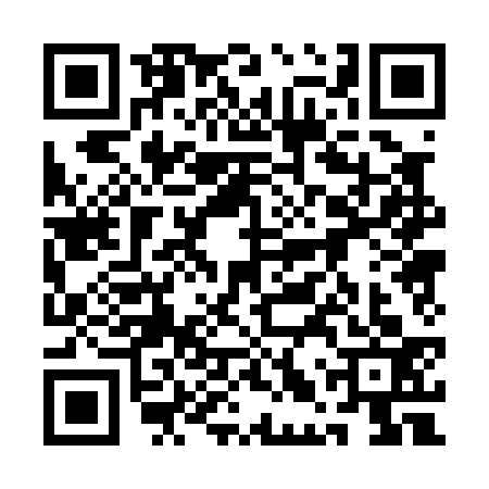 QR code for 1LP0338
