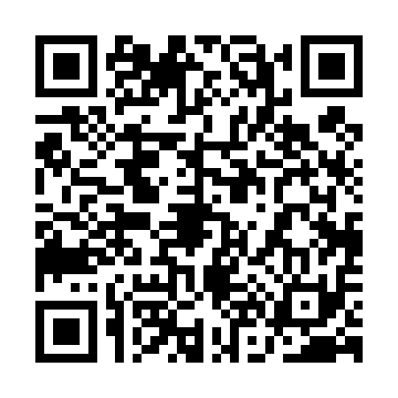 QR code for 1N0411P