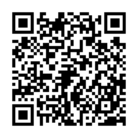 QR code for 1N0666J