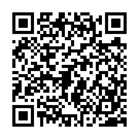 QR code for 1N16661