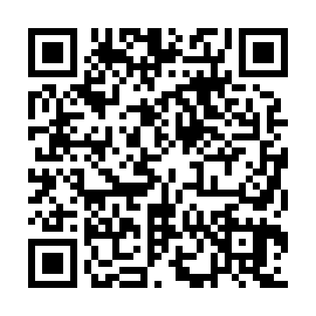 QR code for 1N28653
