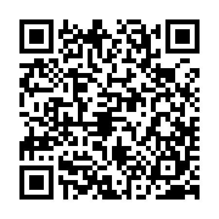 QR code for 1N2954G