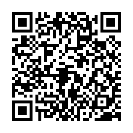 QR code for 1N30987