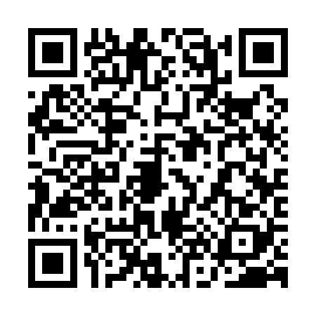 QR code for 1N31285