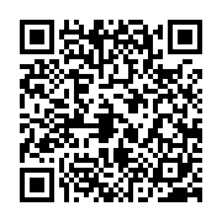 QR code for 1N49619