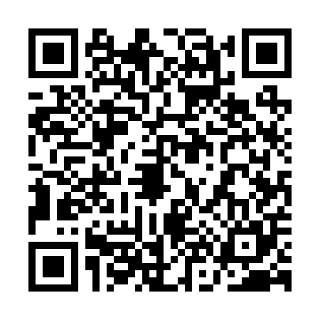 QR code for 1N5205P