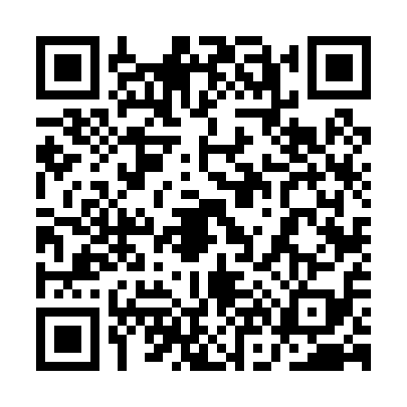 QR code for 1N60198