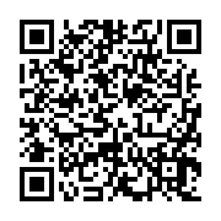QR code for 1N60668