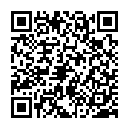 QR code for 1N63517