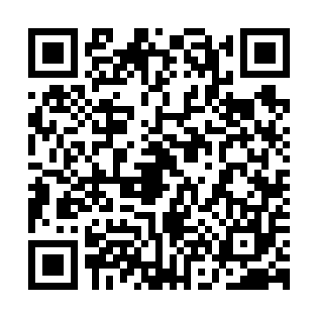 QR code for 1N66577