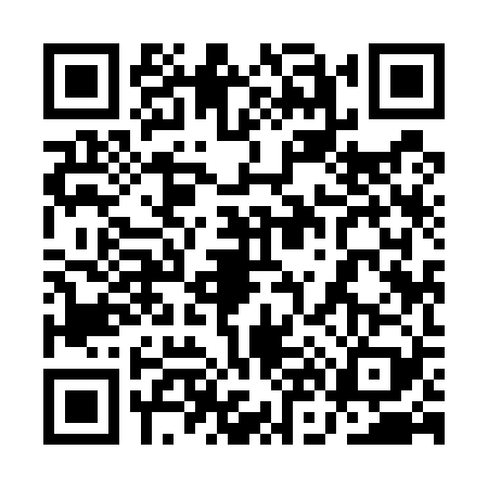 QR code for 1N95299