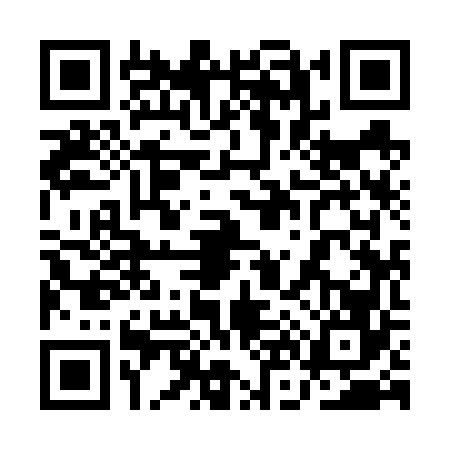 QR code for 1N96665