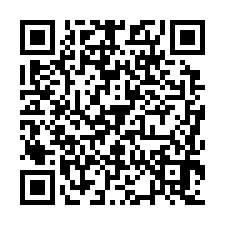 QR code for 1P0390T