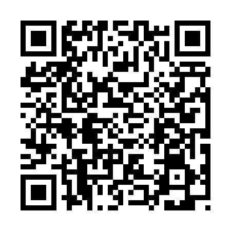 QR code for 1P0466T