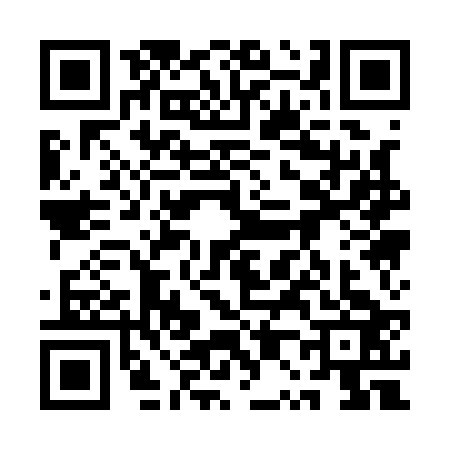 QR code for 1P11234
