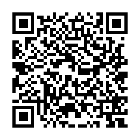 QR code for 1P51295