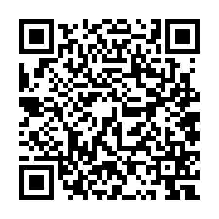 QR code for 1P63655