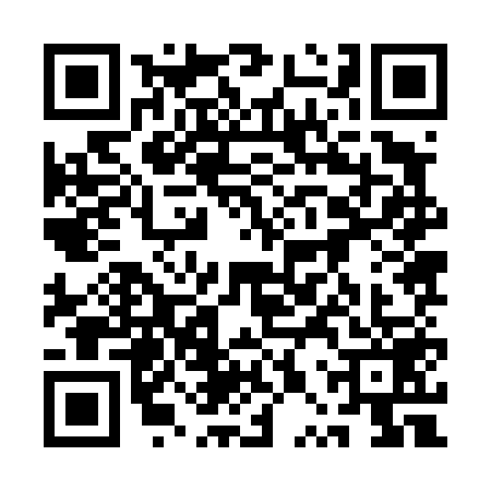 QR code for 1PZ4593