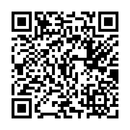 QR code for 1RAY376
