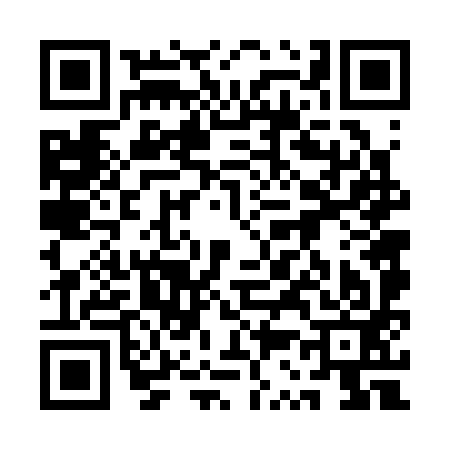 QR code for 1S6393F