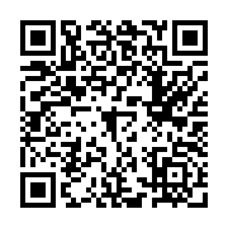QR code for 1SS0933