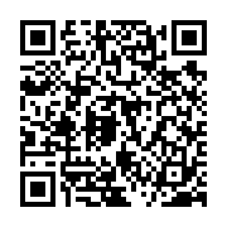 QR code for 1SS6333