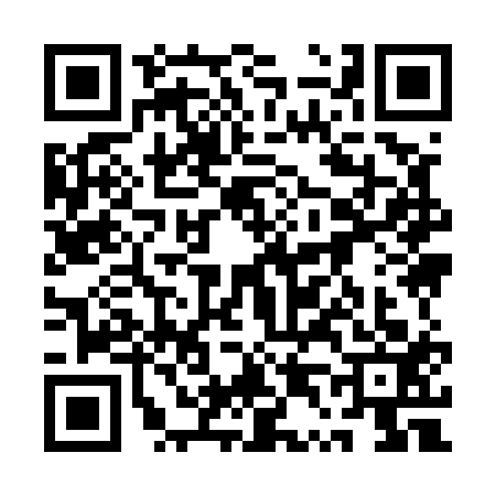 QR code for 1T95132