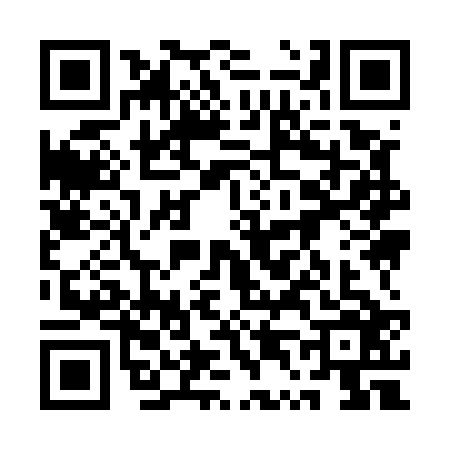 QR code for 1T95263