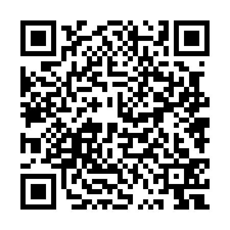 QR code for 1VN0334
