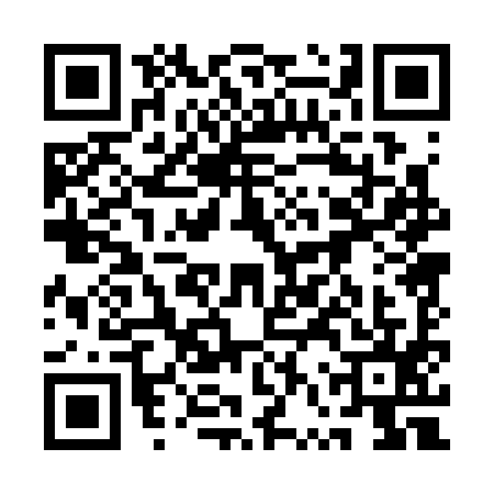QR code for 1VP3951